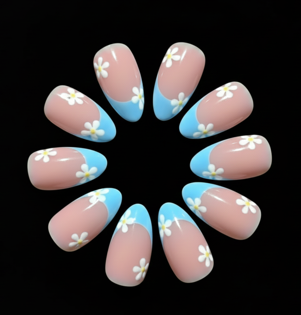 Blue Daisy